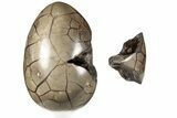 10.7" Septarian "Dragon Egg" Geode - Removable Section - #200199-2